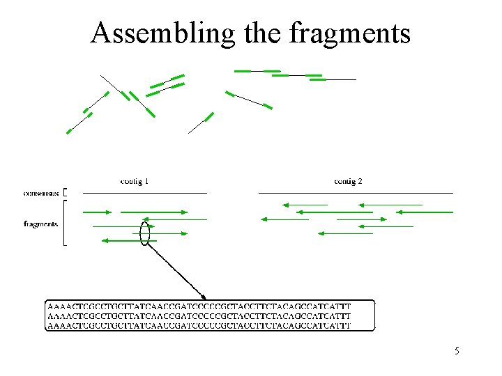 Assembling the fragments 5 