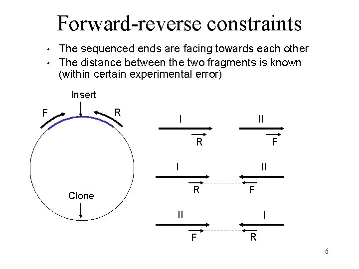 Forward-reverse constraints • • The sequenced ends are facing towards each other The distance