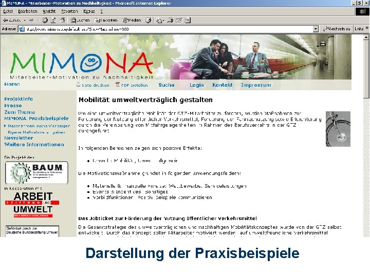 Darstellung der Praxisbeispiele 