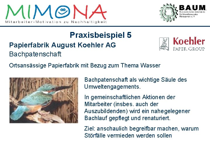 Praxisbeispiel 5 Papierfabrik August Koehler AG Bachpatenschaft Ortsansässige Papierfabrik mit Bezug zum Thema Wasser