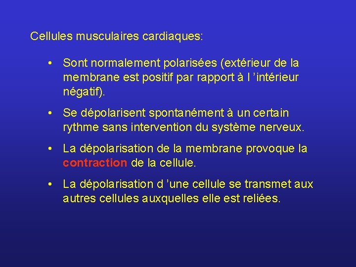 Cellules musculaires cardiaques: • Sont normalement polarisées (extérieur de la membrane est positif par