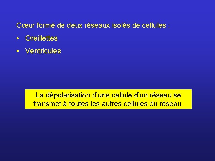 Cœur formé de deux réseaux isolés de cellules : • Oreillettes • Ventricules La