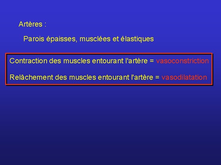 Artères : Parois épaisses, musclées et élastiques Contraction des muscles entourant l'artère = vasoconstriction