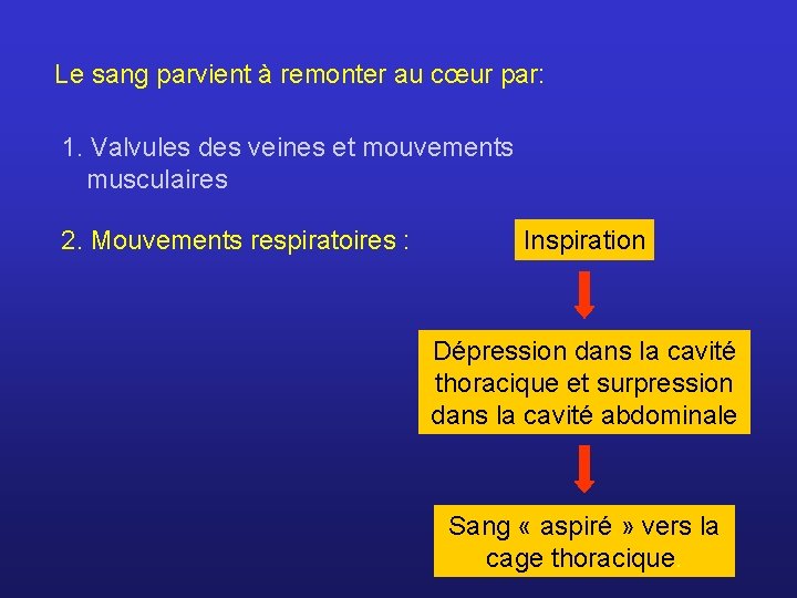 Le sang parvient à remonter au cœur par: 1. Valvules des veines et mouvements