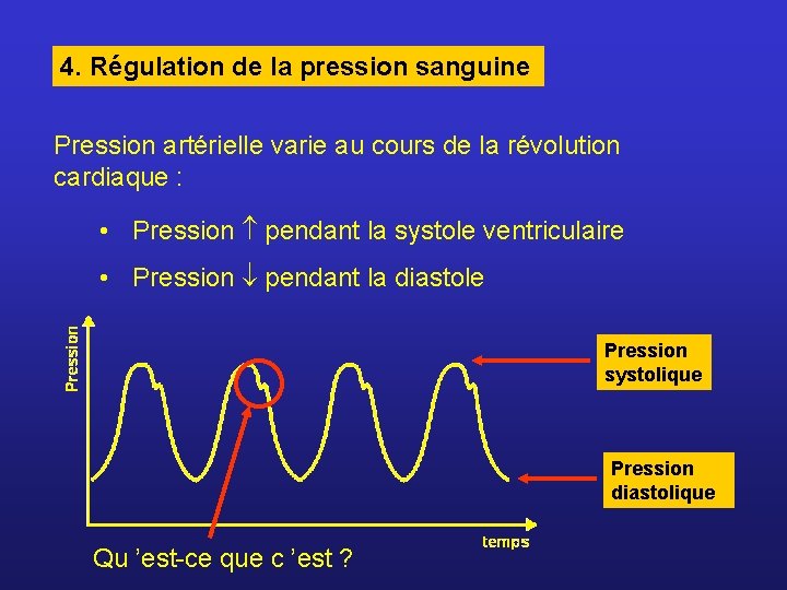 4. Régulation de la pression sanguine Pression artérielle varie au cours de la révolution