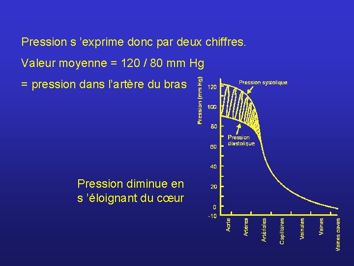 Pression s ’exprime donc par deux chiffres. Valeur moyenne = 120 / 80 mm