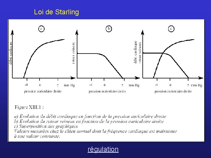 Loi de Starling régulation 