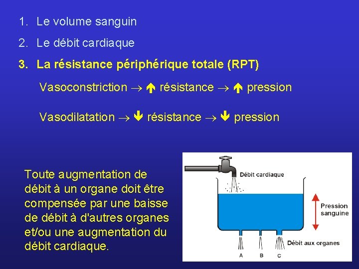 1. Le volume sanguin 2. Le débit cardiaque 3. La résistance périphérique totale (RPT)