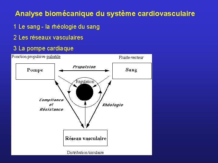 Analyse biomécanique du système cardiovasculaire 1 Le sang - la rhéologie du sang 2