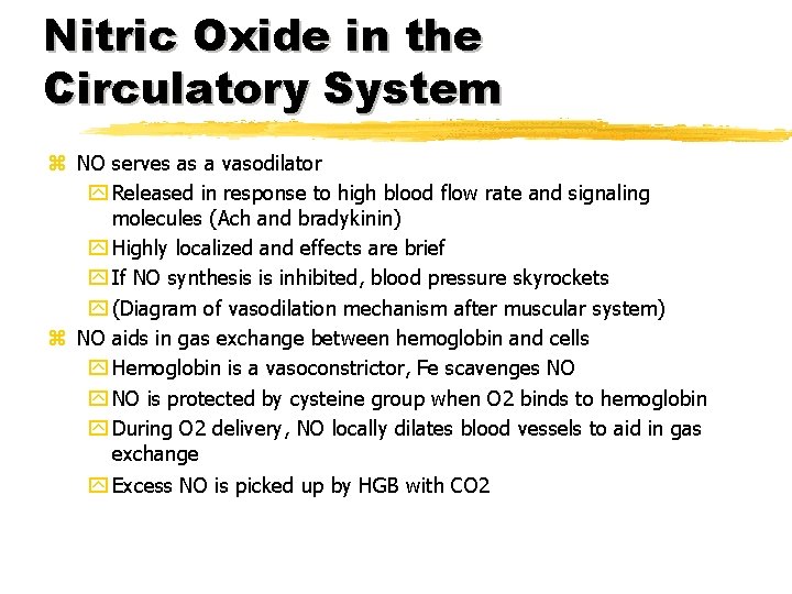 Nitric Oxide in the Circulatory System z NO serves as a vasodilator y Released