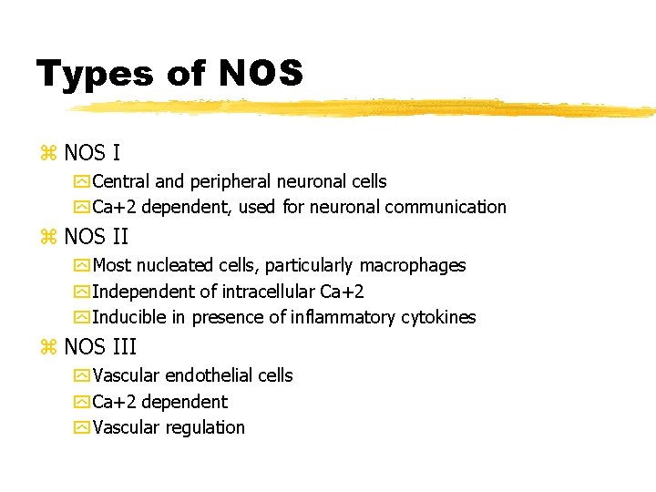 Types of NOS z NOS I y Central and peripheral neuronal cells y Ca+2