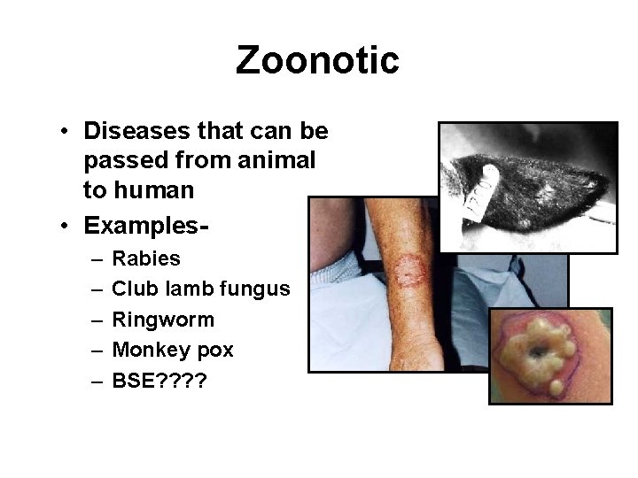 Zoonotic • Diseases that can be passed from animal to human • Examples– –