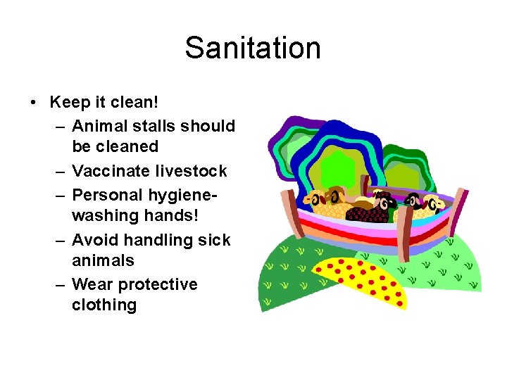 Sanitation • Keep it clean! – Animal stalls should be cleaned – Vaccinate livestock