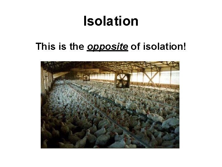 Isolation This is the opposite of isolation! 