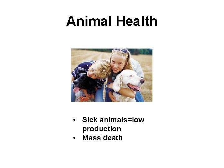 Animal Health • Sick animals=low production • Mass death 