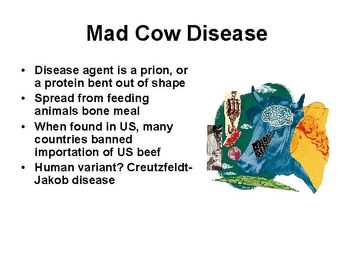 Mad Cow Disease • Disease agent is a prion, or a protein bent out