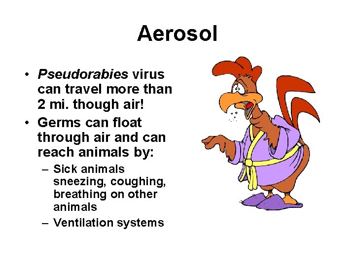 Aerosol • Pseudorabies virus can travel more than 2 mi. though air! • Germs