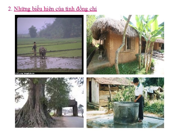 2. Những biểu hiện của tình đồng chí 