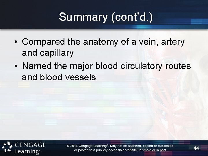 Summary (cont’d. ) • Compared the anatomy of a vein, artery and capillary •