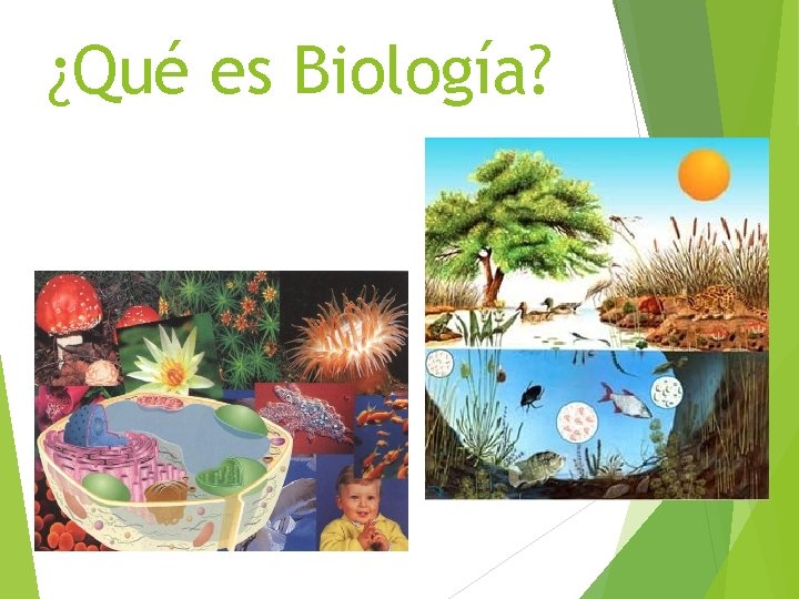 ¿Qué es Biología? 