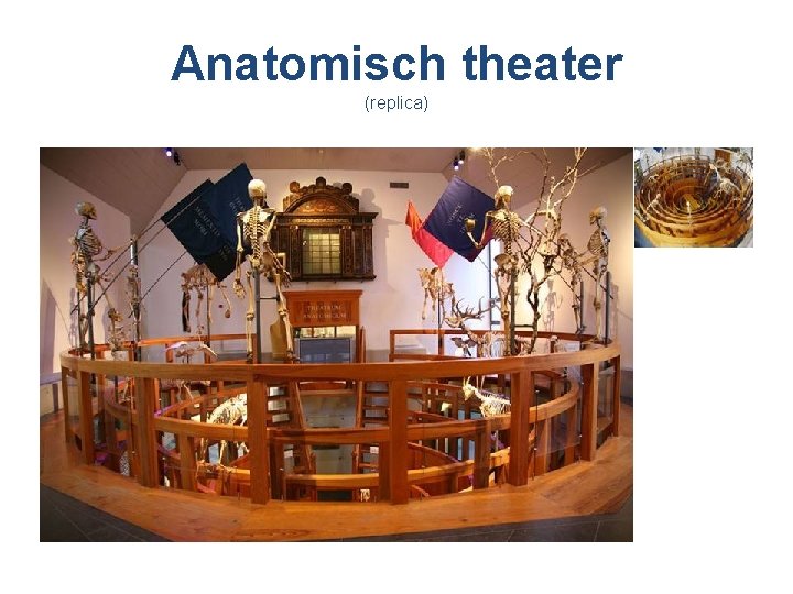 Anatomisch theater (replica) 