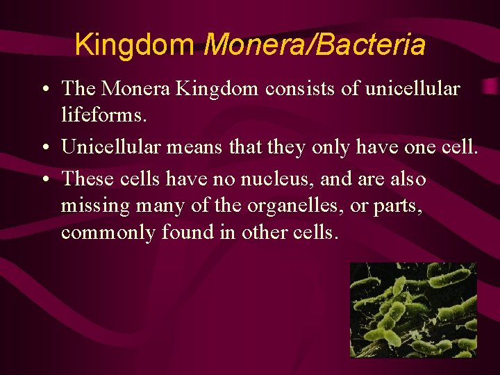Kingdom Monera/Bacteria • The Monera Kingdom consists of unicellular lifeforms. • Unicellular means that