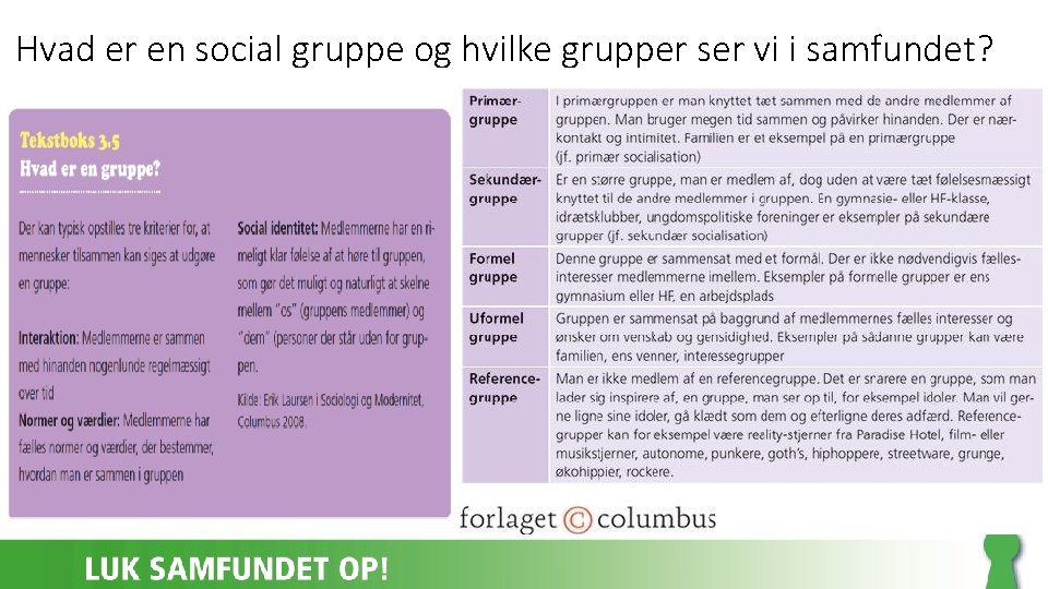 Hvad er en social gruppe og hvilke grupper ser vi i samfundet? 