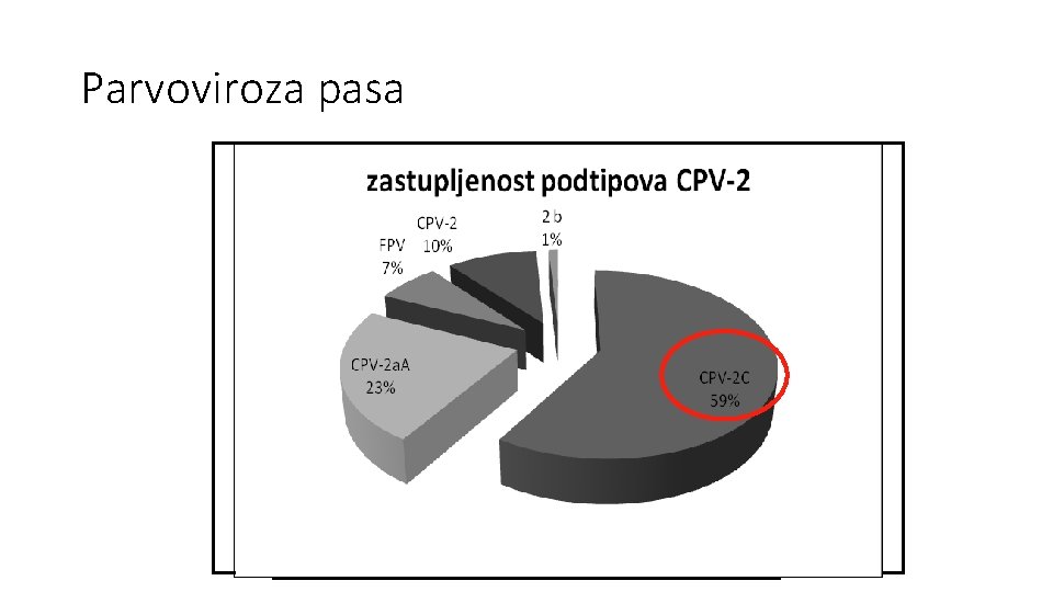 Parvoviroza pasa Parvoviroza pasa