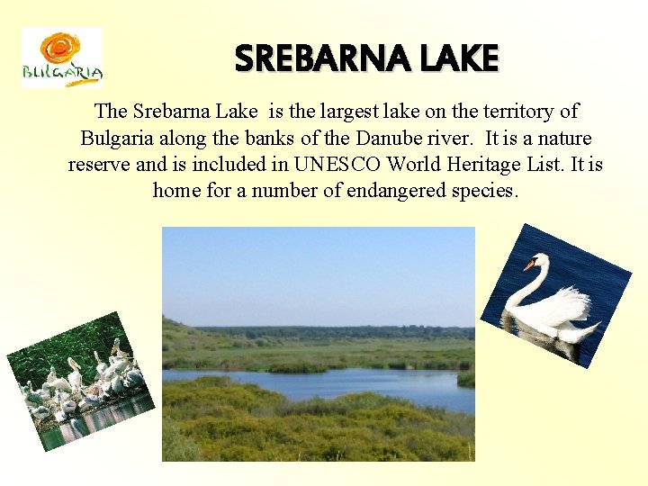 SREBARNA LAKE Тhe Srebarna Lake is the largest lake on the territory of Bulgaria