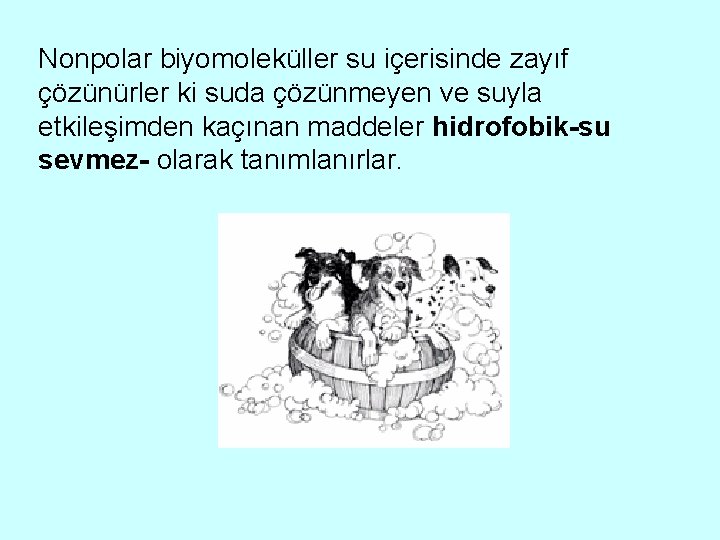 Nonpolar biyomoleküller su içerisinde zayıf çözünürler ki suda çözünmeyen ve suyla etkileşimden kaçınan maddeler