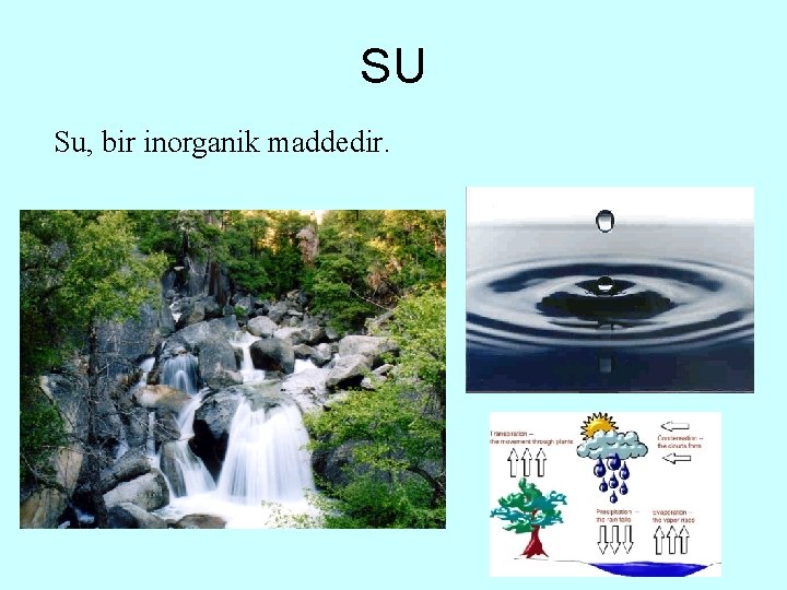 SU Su, bir inorganik maddedir. 