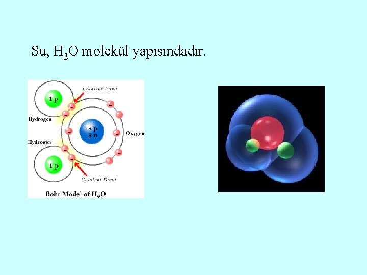 Su, H 2 O molekül yapısındadır. 