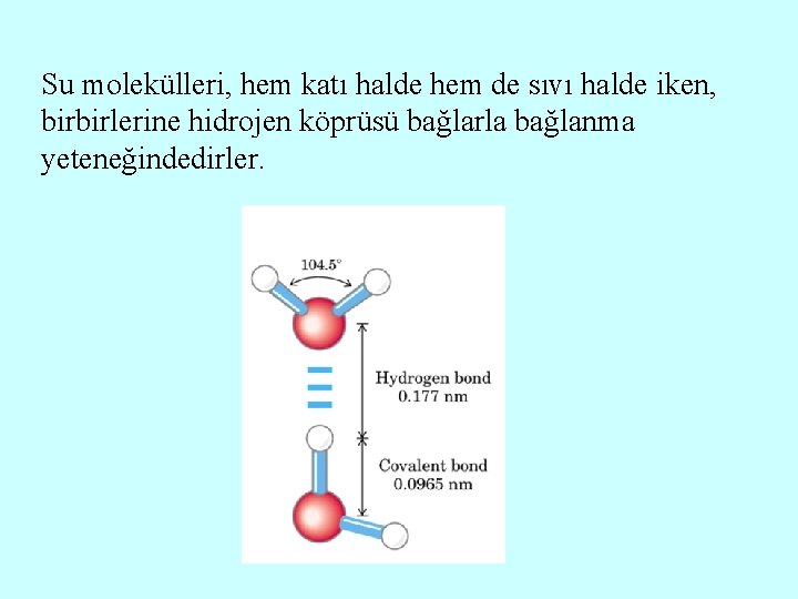 Su molekülleri, hem katı halde hem de sıvı halde iken, birbirlerine hidrojen köprüsü bağlarla