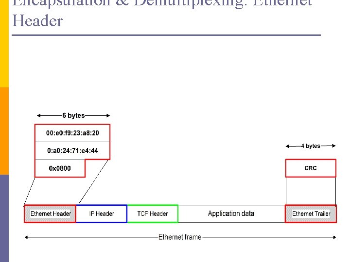 Encapsulation & Demultiplexing: Ethernet Header 