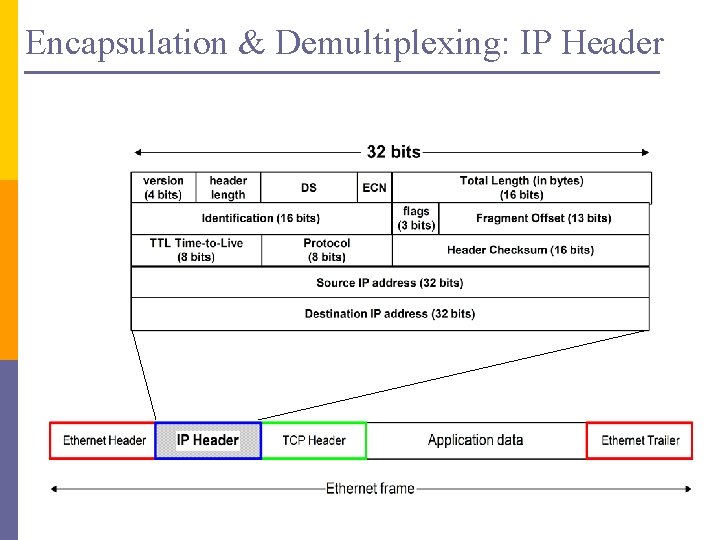 Encapsulation & Demultiplexing: IP Header 