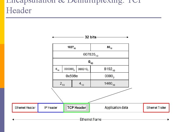 Encapsulation & Demultiplexing: TCP Header 