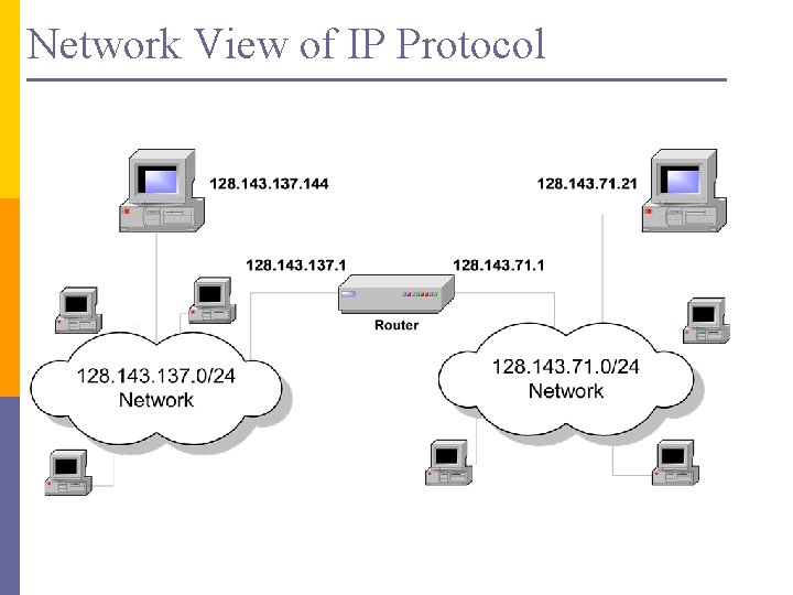 Network View of IP Protocol 