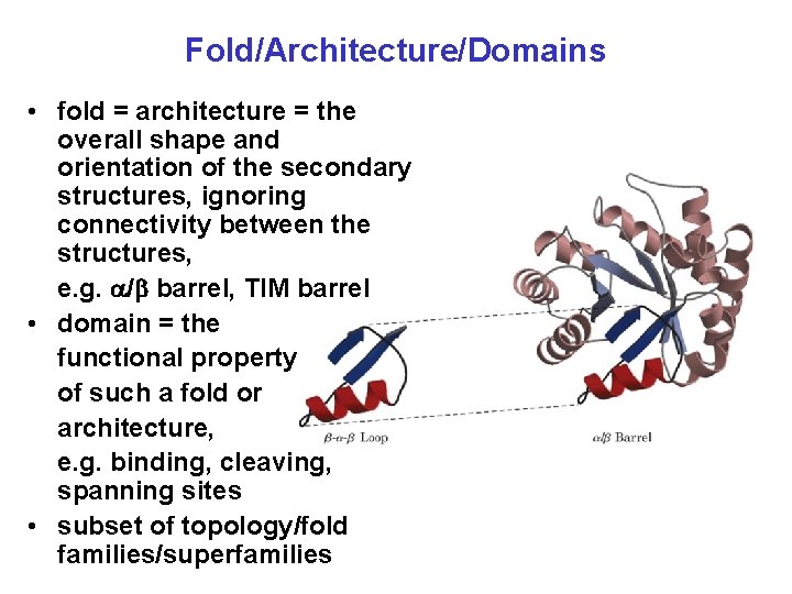 Fold/Architecture/Domains • fold = architecture = the overall shape and orientation of the secondary