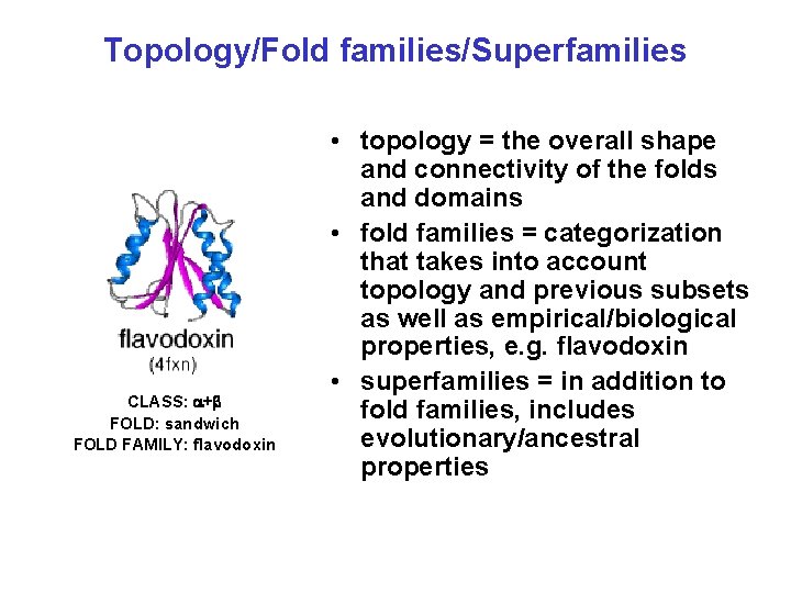 Topology/Fold families/Superfamilies CLASS: + FOLD: sandwich FOLD FAMILY: flavodoxin • topology = the overall