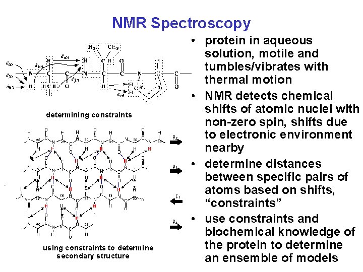NMR Spectroscopy determining constraints using constraints to determine secondary structure • protein in aqueous