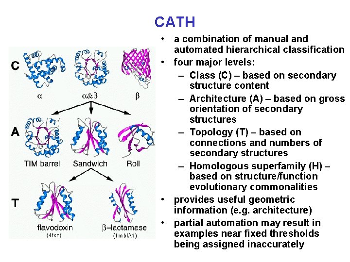 CATH • a combination of manual and automated hierarchical classification • four major levels:
