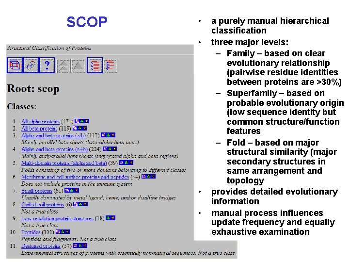 SCOP • • a purely manual hierarchical classification three major levels: – Family –