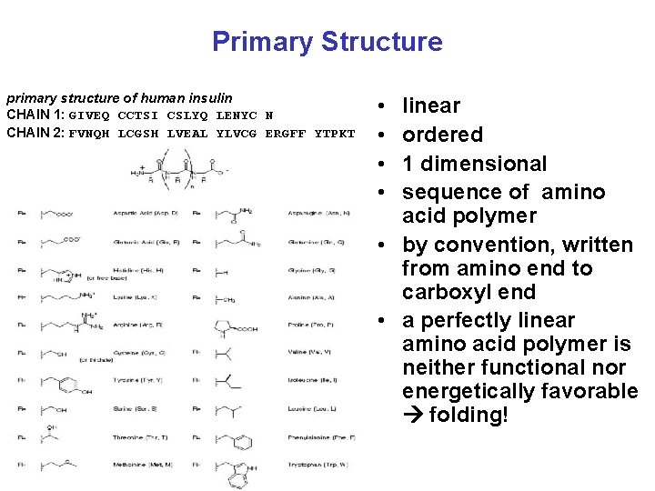 Primary Structure primary structure of human insulin CHAIN 1: GIVEQ CCTSI CSLYQ LENYC N