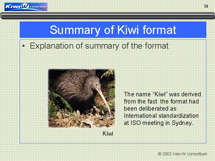 12 Summary of Kiwi format • Explanation of summary of the format The name