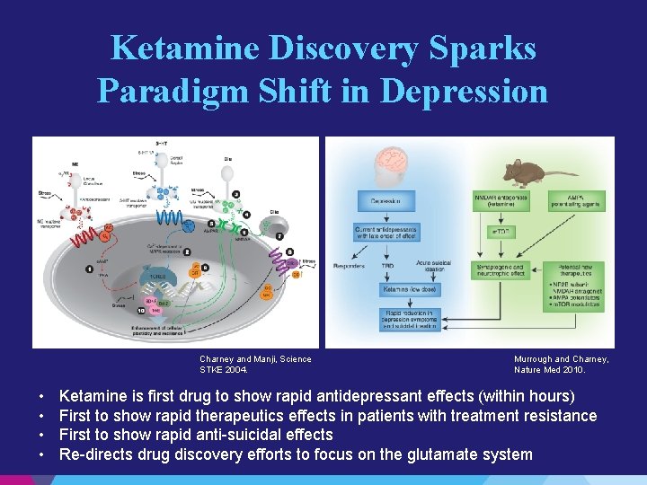 Ketamine Discovery Sparks Paradigm Shift in Depression Charney and Manji, Science STKE 2004. •