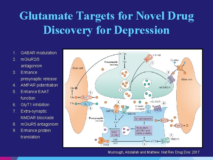 Glutamate Targets for Novel Drug Discovery for Depression 1. GABAR modulation 2. m. Glu.