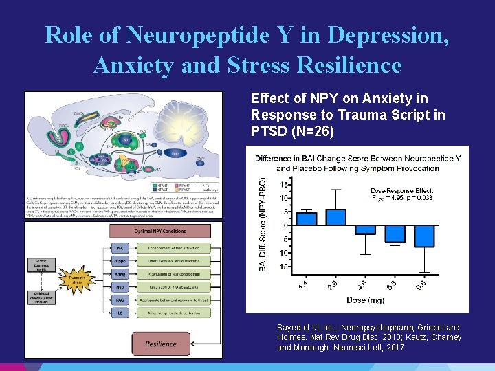 Role of Neuropeptide Y in Depression, Anxiety and Stress Resilience Effect of NPY on