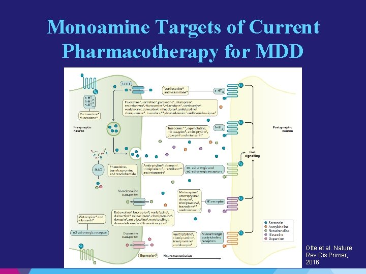 Monoamine Targets of Current Pharmacotherapy for MDD Otte et al. Nature Rev Dis Primer,