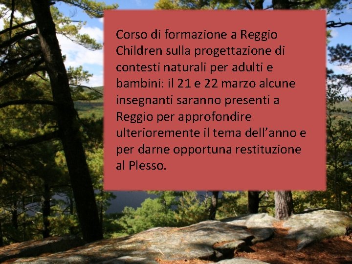 Corso di formazione a Reggio Children sulla progettazione di contesti naturali per adulti e