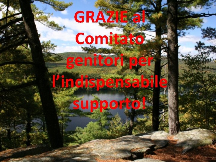 GRAZIE al Comitato genitori per l’indispensabile supporto! 